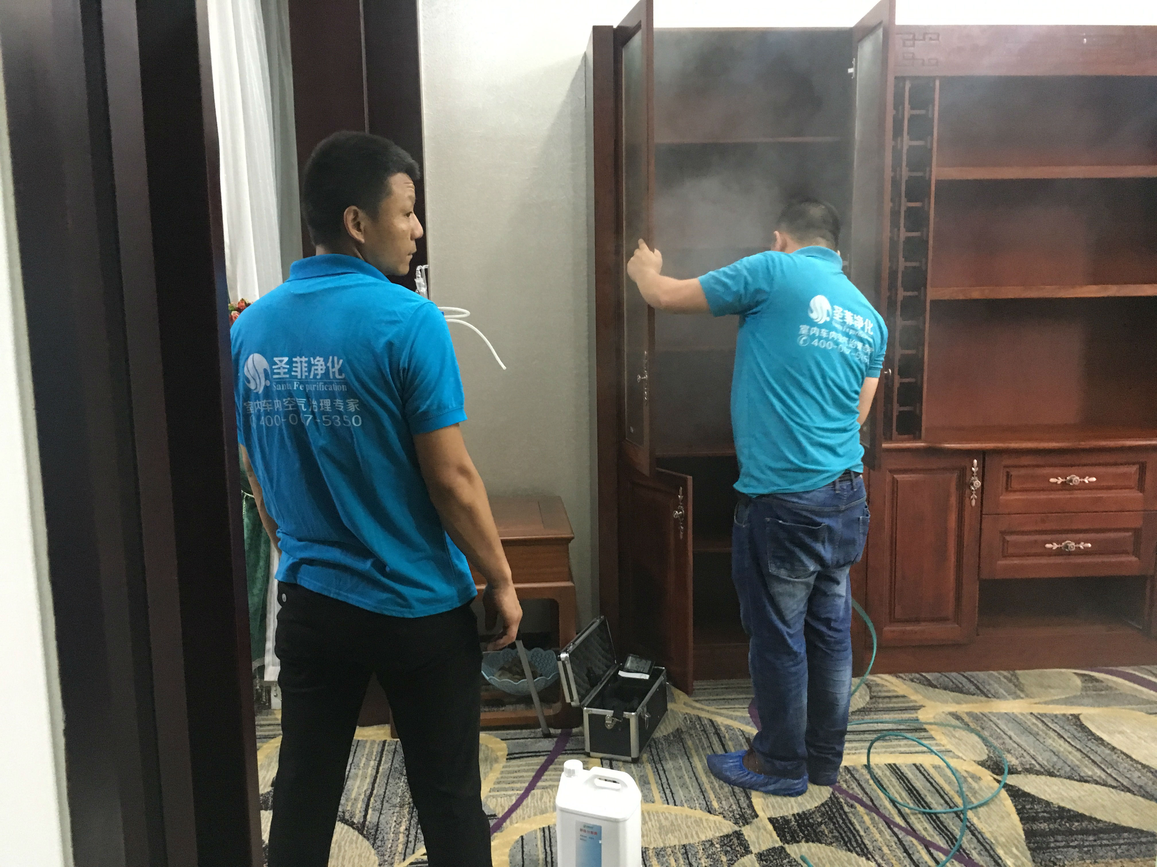 专业除甲醛公司 专业除甲醛公司